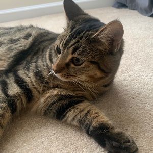 Meet your Posher, Michael